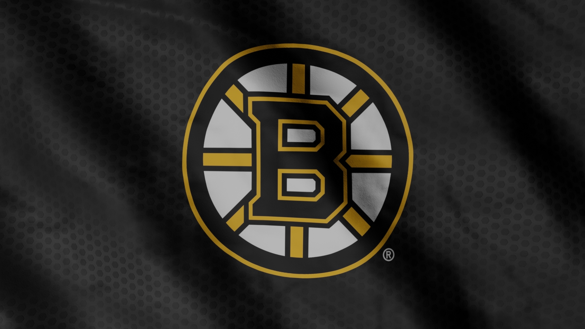 Boston Bruins aneb jak si stojí Medvědi