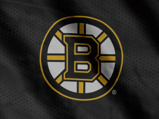 Boston Bruins aneb jak si stojí Medvědi